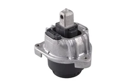 Variklio montavimas TEDGUM TED52401