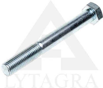 VARŽTAS CIN. 16 X 100 /8.8 DIN 931