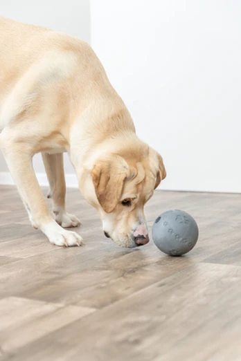 Trixie NNACKY RBALL 11cm