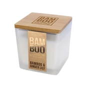 BAMBOO BAMBOO & GINGER LILY kvapni žvakė, 80 g kaina