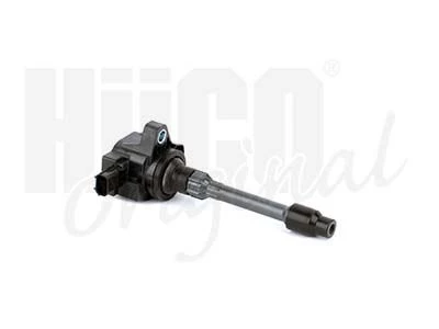 Ritė, uždegimas HITACHI 133967