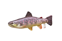 Pagalvėlė mažas Margasis upėtakis (36cm) kaina