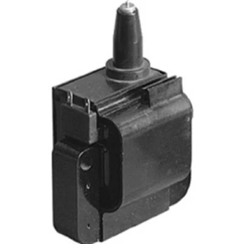 Ritė, uždegimas MAGNETI MARELLI 060717021012