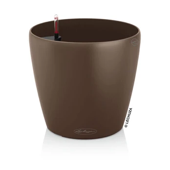 Lechuza Classico Color 43 cm, Muskato