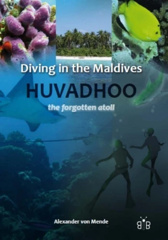 Diving in the Maldives