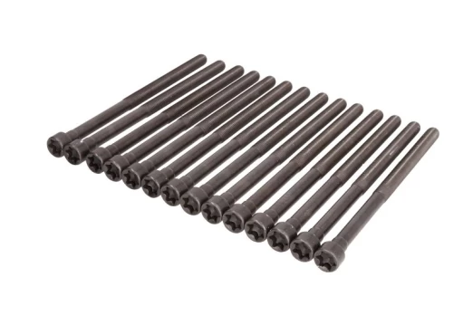 ELRING EL794480 Cylinder head bolt set