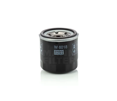 Tepalo filtras W6018