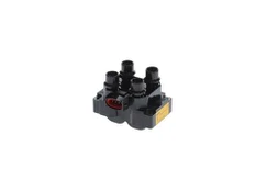 Ritė, uždegimas BOSCH F000ZS0212