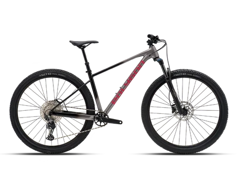 Dviratis 29" POLYGON XTRADA 6 pilka/juoda - m
