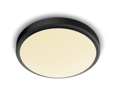 Šviestuvas lubinis Philips Doris, 17W, 2700°K, LED, baltas/juodas