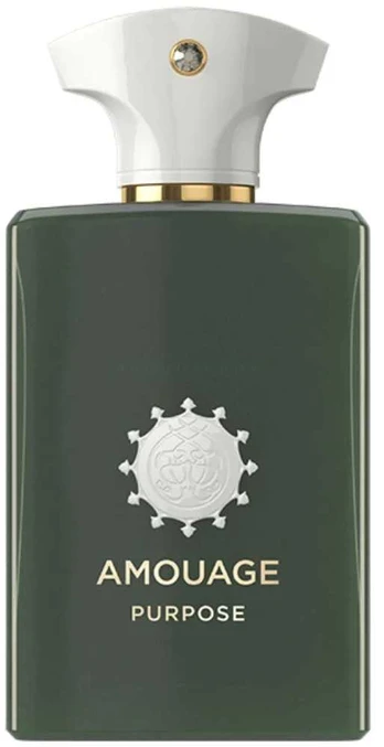 Amouage Purpose, 100 ml