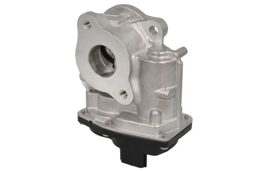 EGR vožtuvas DELPHI EG10747-12B1