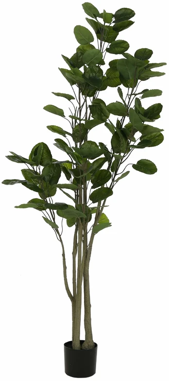 Dirbtinis augalas vazone, žalia sp., 160 cm
