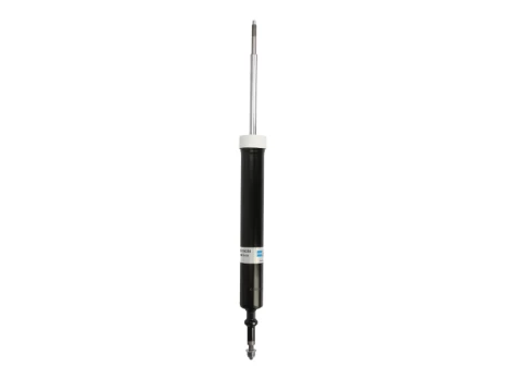 BILSTEIN 19-144238 Shock absorber