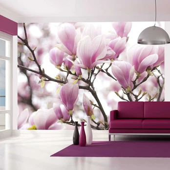 Artgeist Fototapetas - Magnolia bloosom