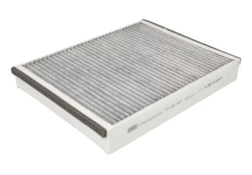 Salono filtras MANN-FILTER FP 25 007