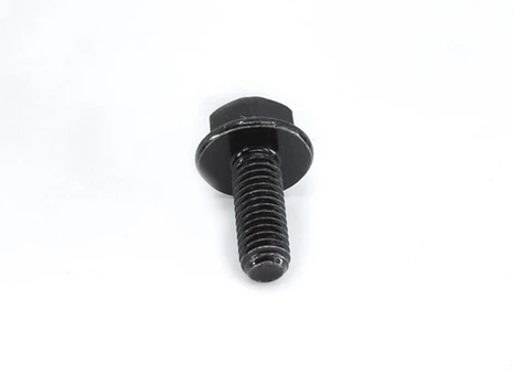 30006-060016870 BOLT