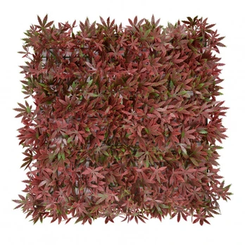 Spalvotas augalų skydelis "Maple Red" (50x50cm)