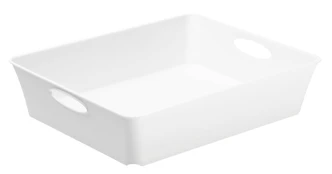 Daiktadėžė ROTHO LIVING, 2,5 l., baltos sp. kaina