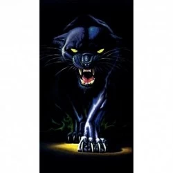 Deimantinis paveikslas Black Panther WD2409
