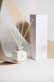 Kvapas namams ODORO Elements DAYDREAM, 100 ml kaina
