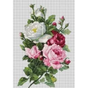 Bouquet of Roses SBA22855 kaina