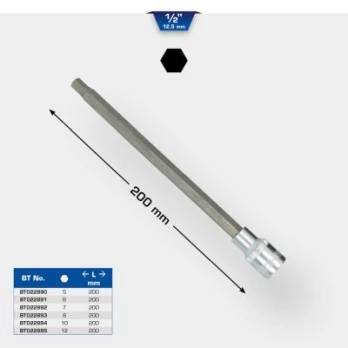 Šešiakampio lizdo komplektas KS TOOLS BT022894