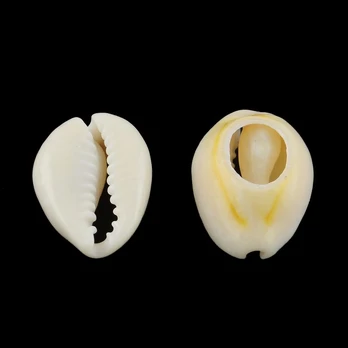 Kriauklės 4 vnt., 18-20x13-14x6-8 mm, 1 maišelis