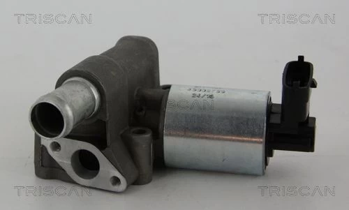 ERG vožtuvas TRISCAN 8813 24102