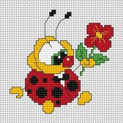 Ladybug SB062