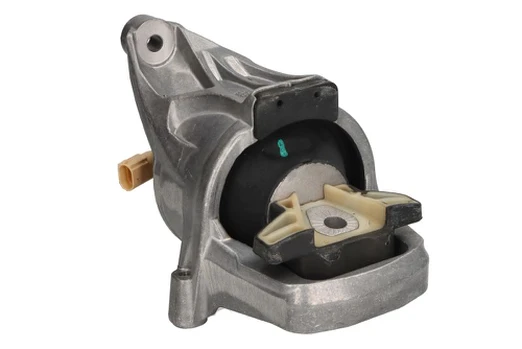 Variklio montavimas TEDGUM TED49188