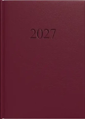 Darbo knyga MANAGER Day 2027, A5, PU