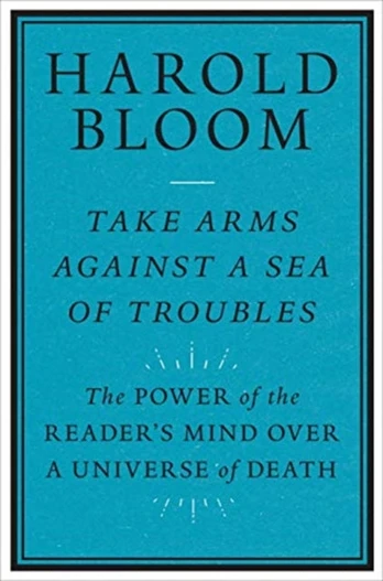 Take Arms Against a Sea of Troubles