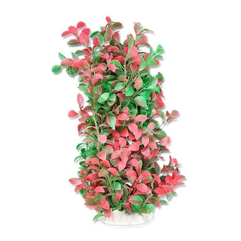 Folijos augalas 40cm 4f26 Happet