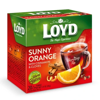 Vaisinė arbata LOYD WARMING ORANGE, 20 vnt.