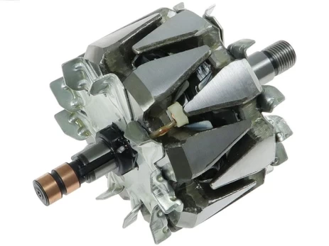 Rotorius, kintamosios srovės generatorius AS-PL AR0055