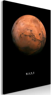 Artgeist Paveikslas - Mars (1 Part) Vertical kaina