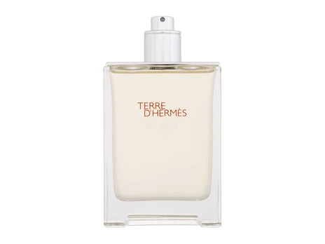 Hermès Terre D'Hermès Eau Givrée 100ml Vyrams