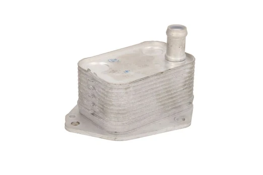 Alyvos radiatorius THERMOTEC D405003TT
