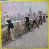 Vinyl (LP) Blondie - Autoamerican