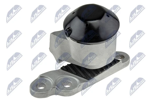 Variklio montavimas NTY ZPS-FR-053