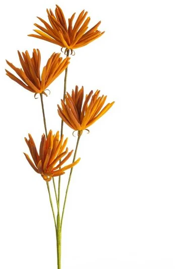 Eurofirany KW/FLORE/779/POM POMA
