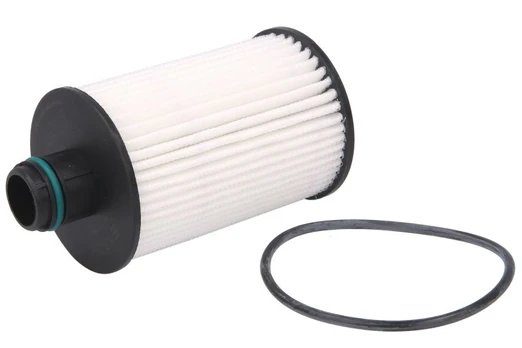 Alyvos filtras HENGST FILTER E162HD249