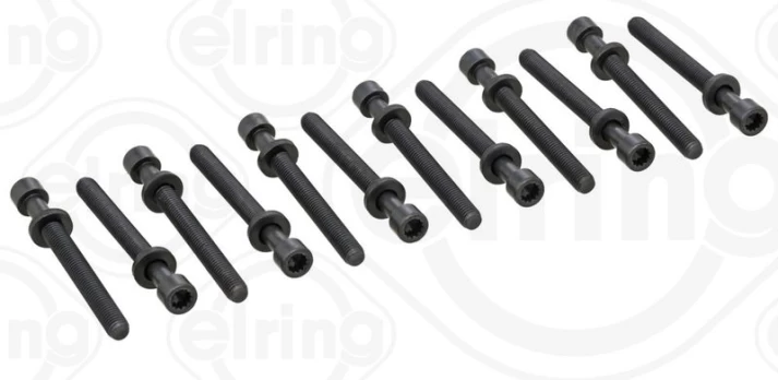 ELRING EL819875 Cylinder head bolt set