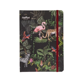 Užrašų knygelė CoolPack 30292CP, 60