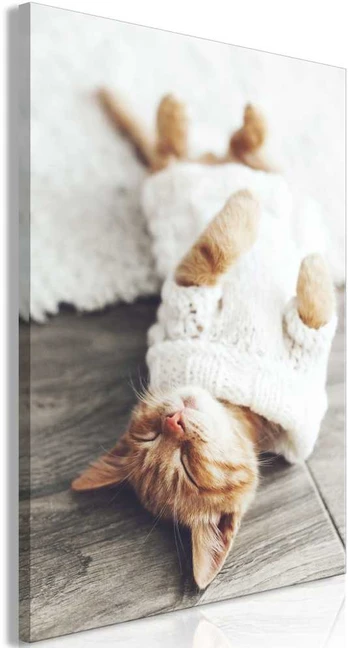 Artgeist Paveikslas - Lazy Cat (1 Part) Vertical