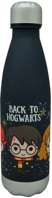 Warner Bros Discovery Harry Potter Back to Hogwarst bottle 650ml