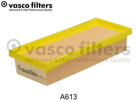 Oro filtras DAVID VASCO A613
