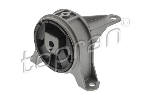 Variklio montavimas TOPRAN 207 208