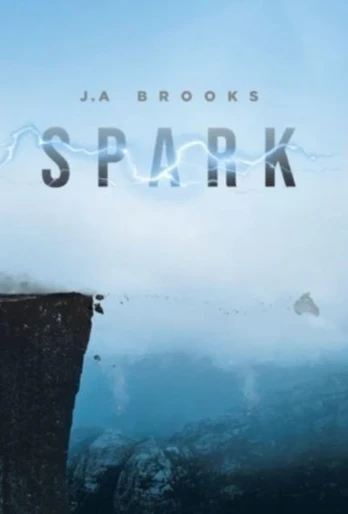 KNYGA J A Brooks Kibirkštis